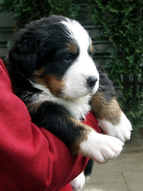 Anton A2 PICT0907 (17)_BildgrÃ¶ÃŸe Ã¤ndern.jpg